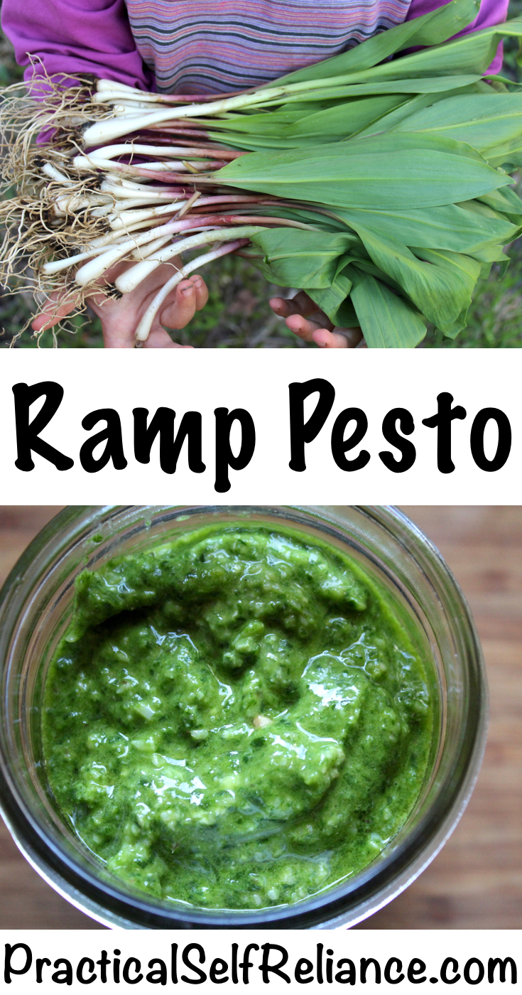 Ramp Pesto