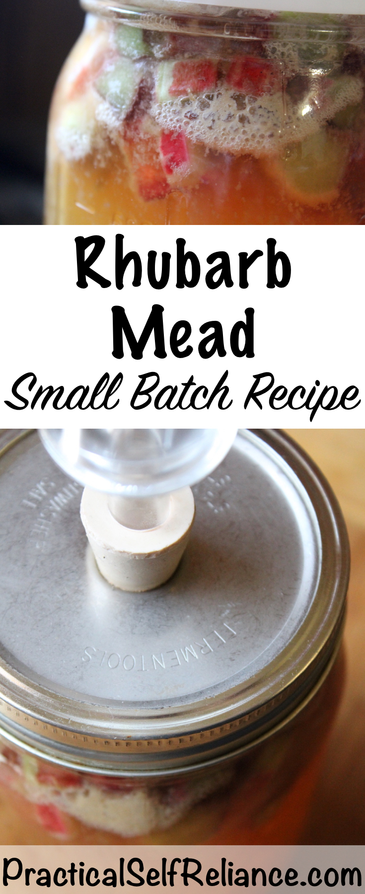 Rhubarb Mead
