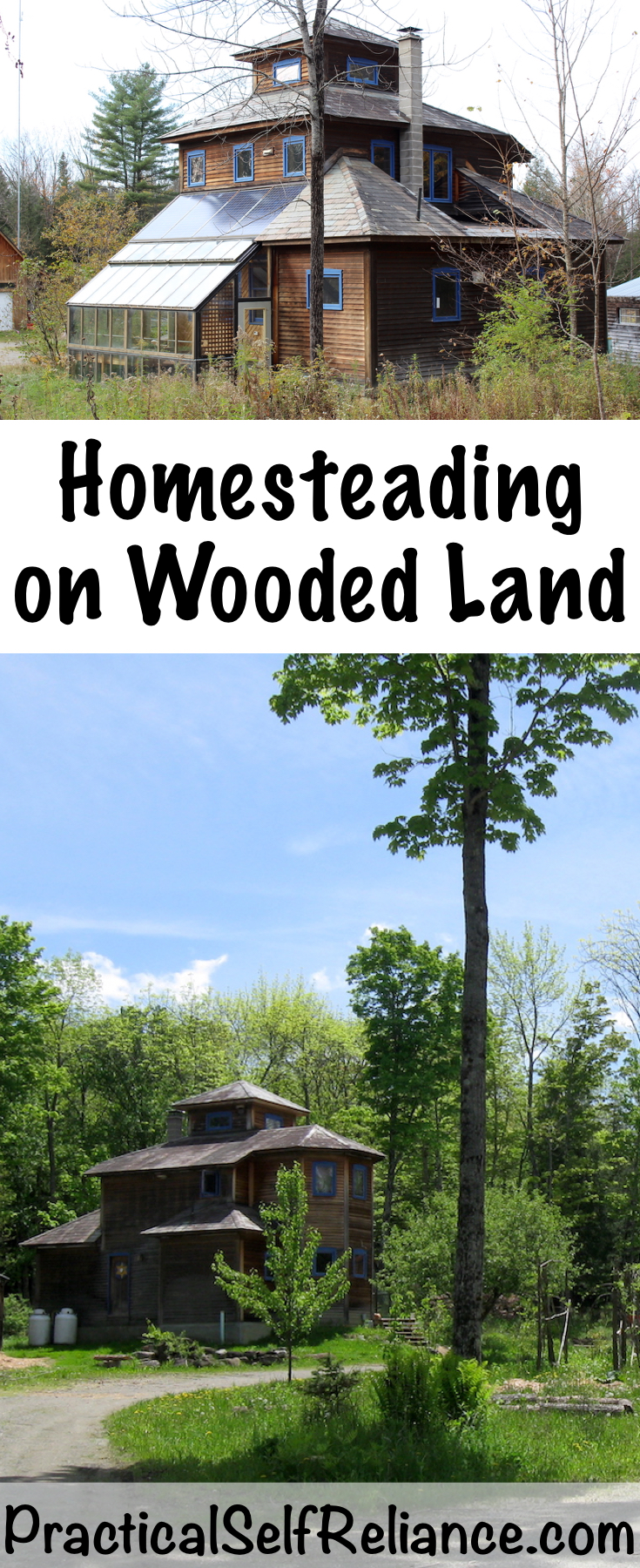 Woodland Homestead