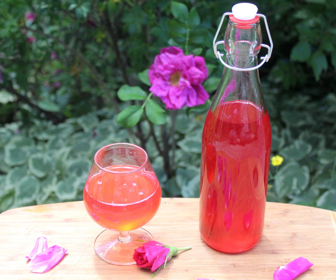 Cordial Recipes Without Sugar Home Alqu