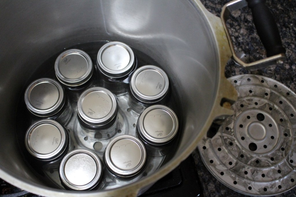 Pressure Canning Beginners Guide