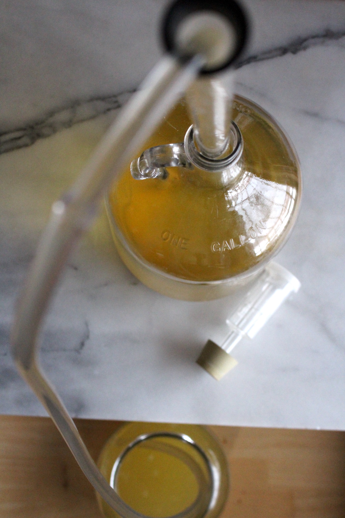 Using a Sciphon to Rack Wine
