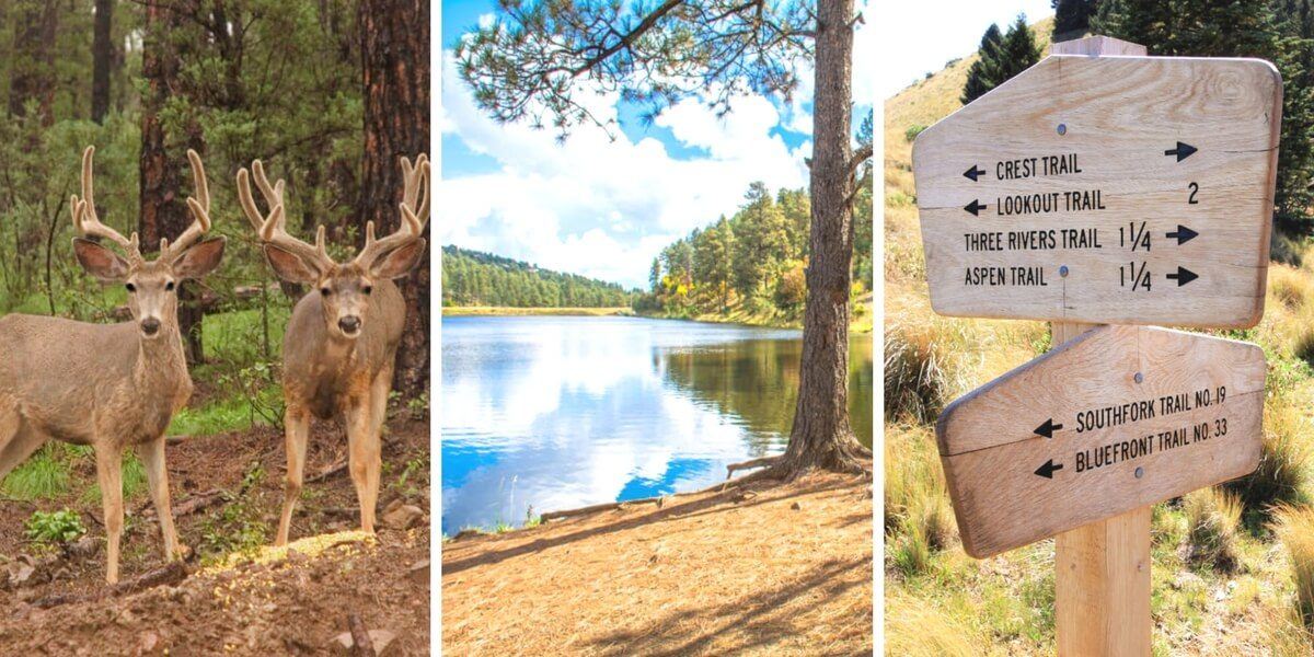 8 Outdoorsy Things to Do in Ruidoso, New Mexico Practical Wanderlust