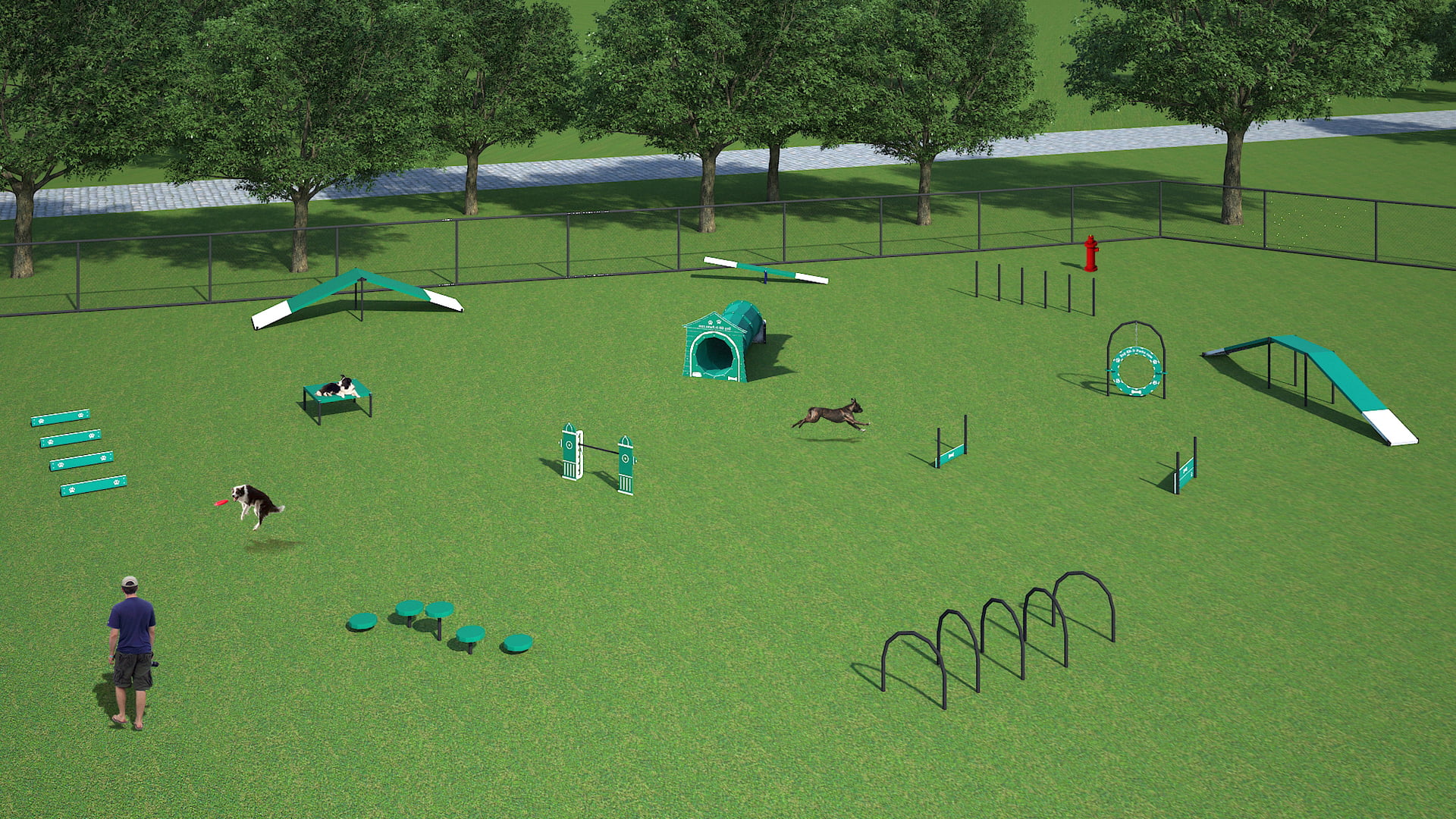 Dog Playground Equipment
