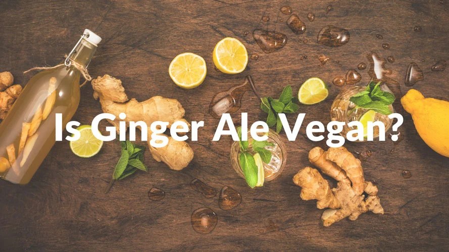 Is Ginger Ale Vegan? Detailed Analysis of Ginger Ale in 2022
