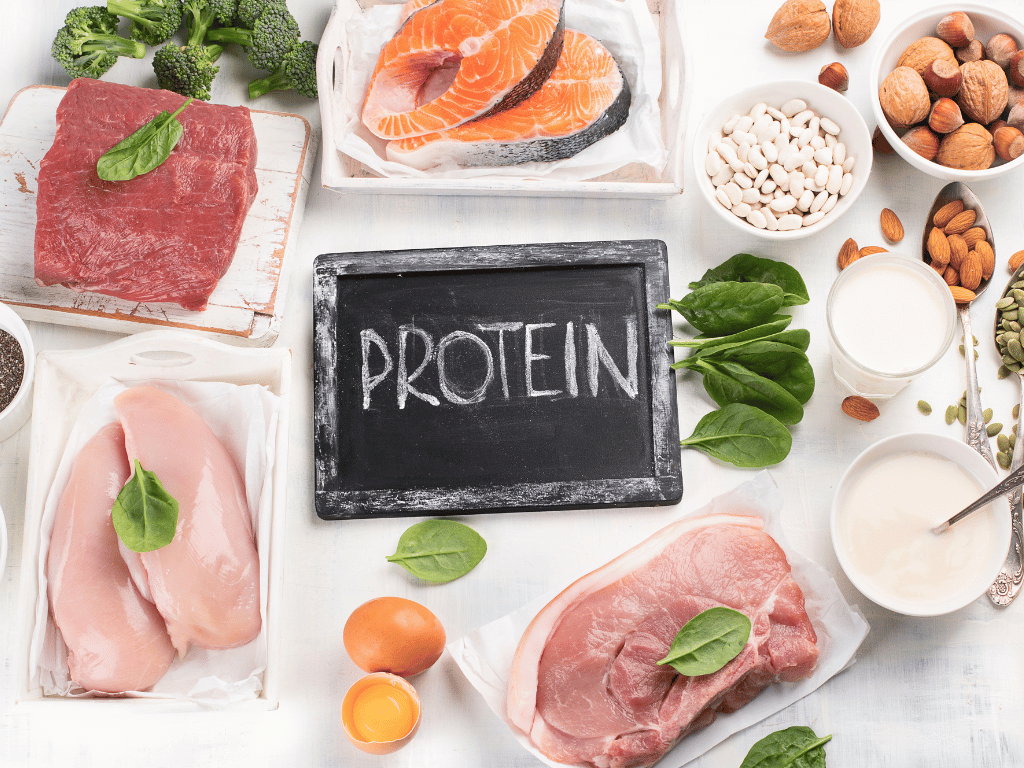 8 High Protein Foods for Weight Gain PRAGATI BIOPHARMA PVT LTD