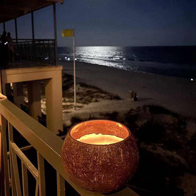 Best Smelling Coconut Shell Candles Pragmism