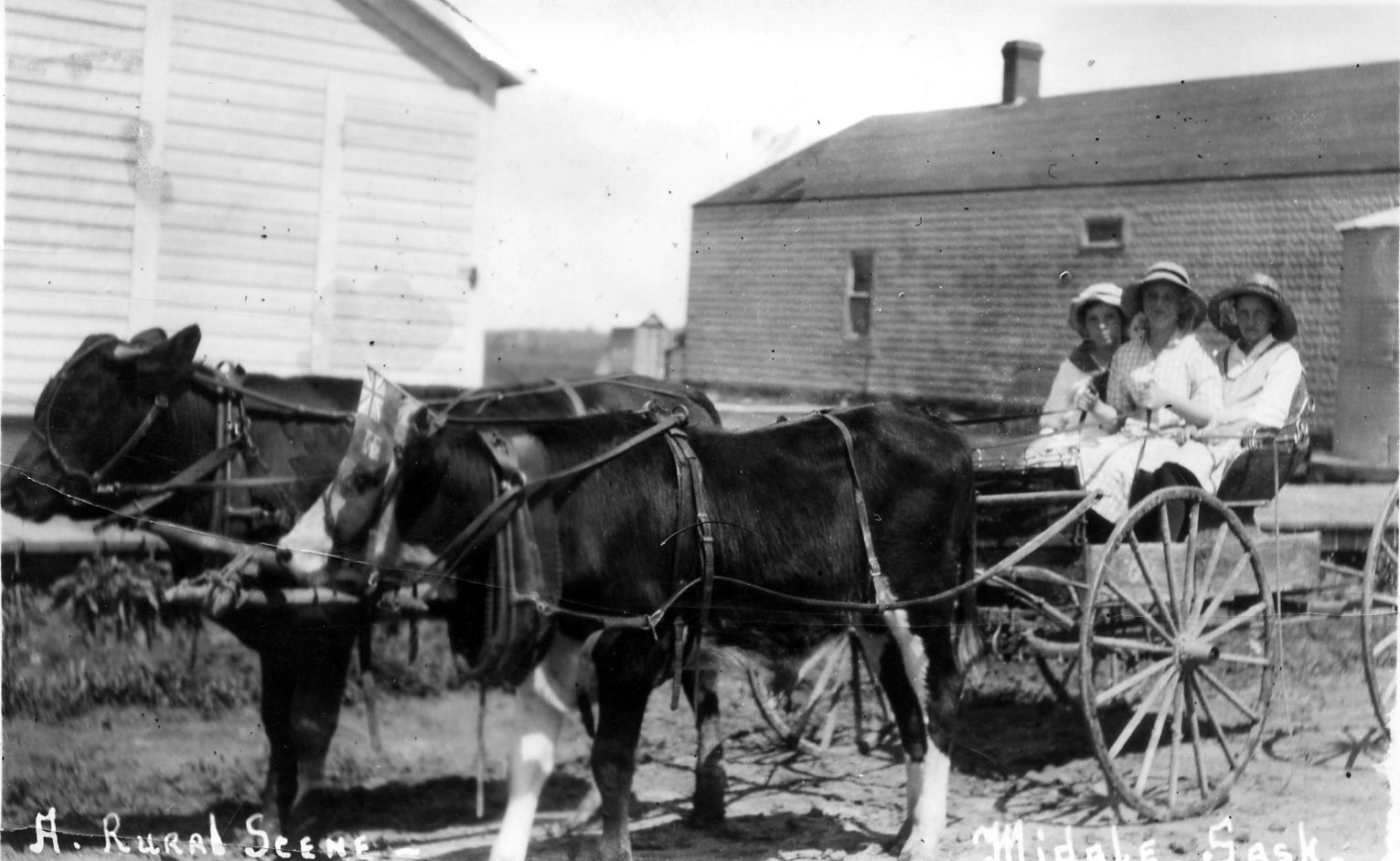 Historical photos photographs of Midale Saskatchewan
