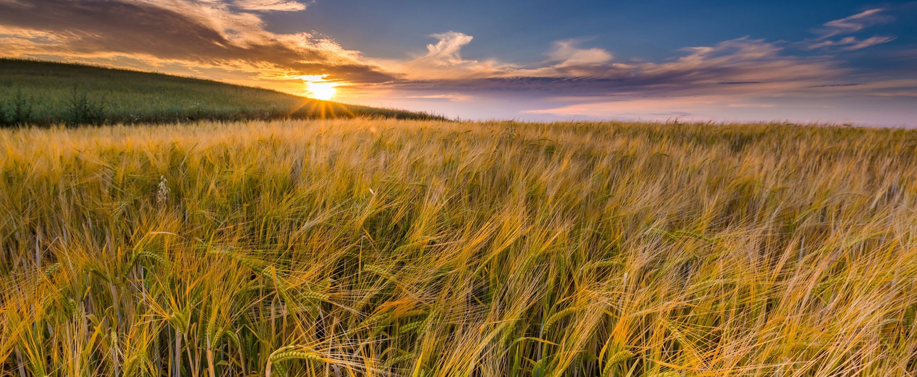 Rental Management Apartment Rentals Prairie Homes Management