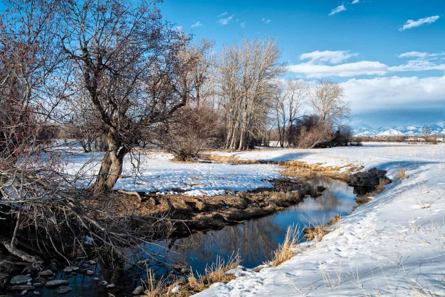 Photograph of Spring Creek in Gallatin National Forest Montana