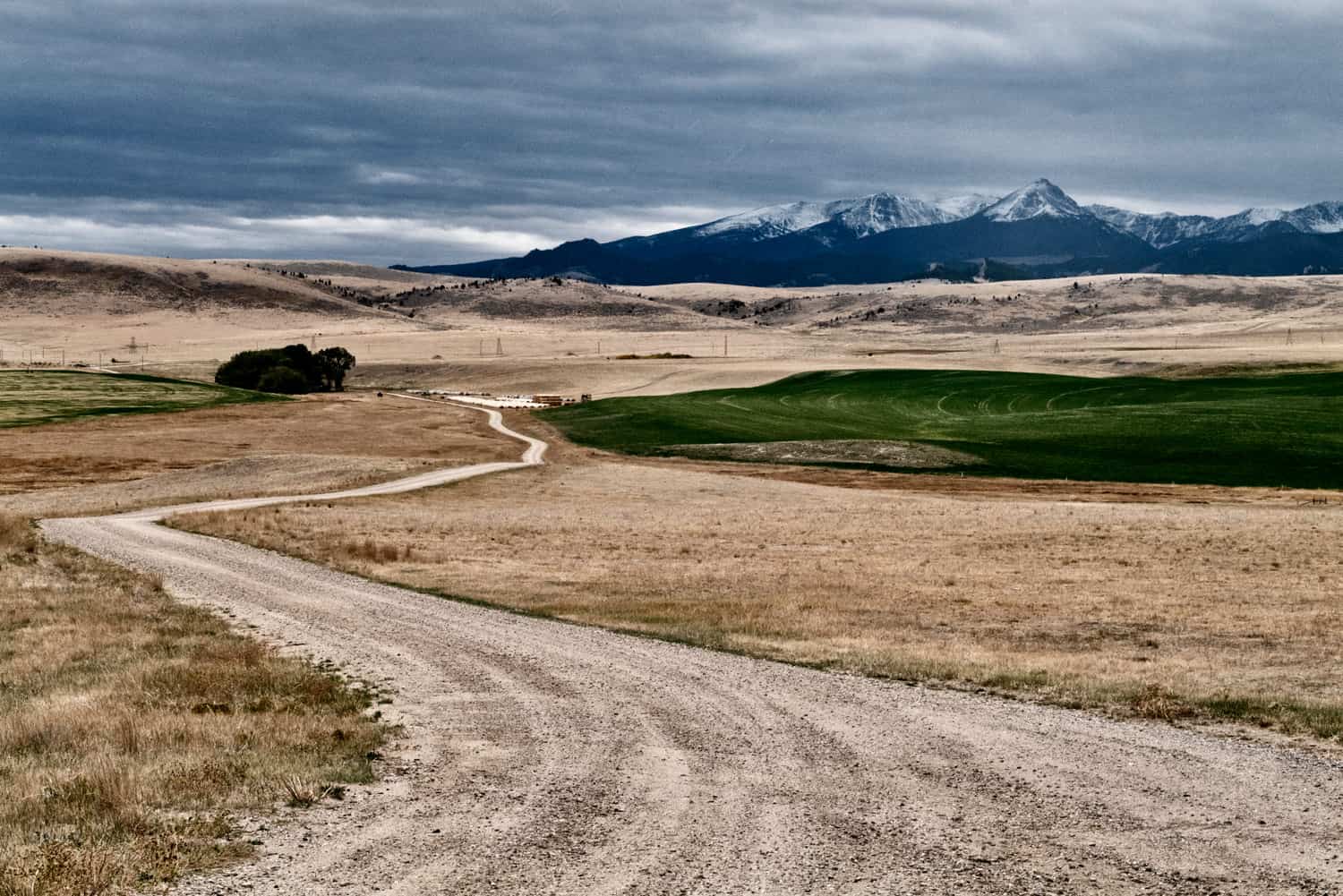 Photo of a winding road on a ranch near Norris Montana.