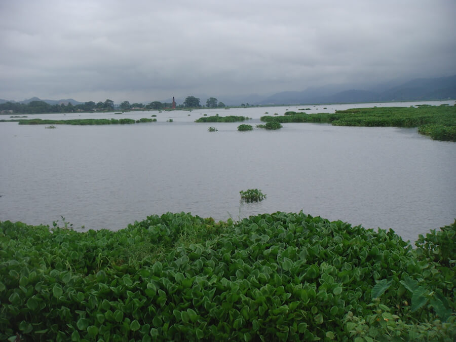 Moorhen Yoga Mat Biodegradable Yoga Mat made by 6 young girls from