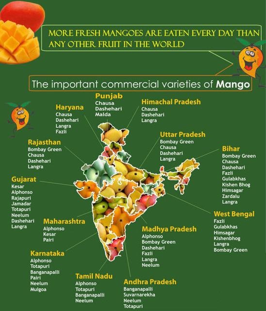 Different types of mangoes in India Check out the India's Mango Map