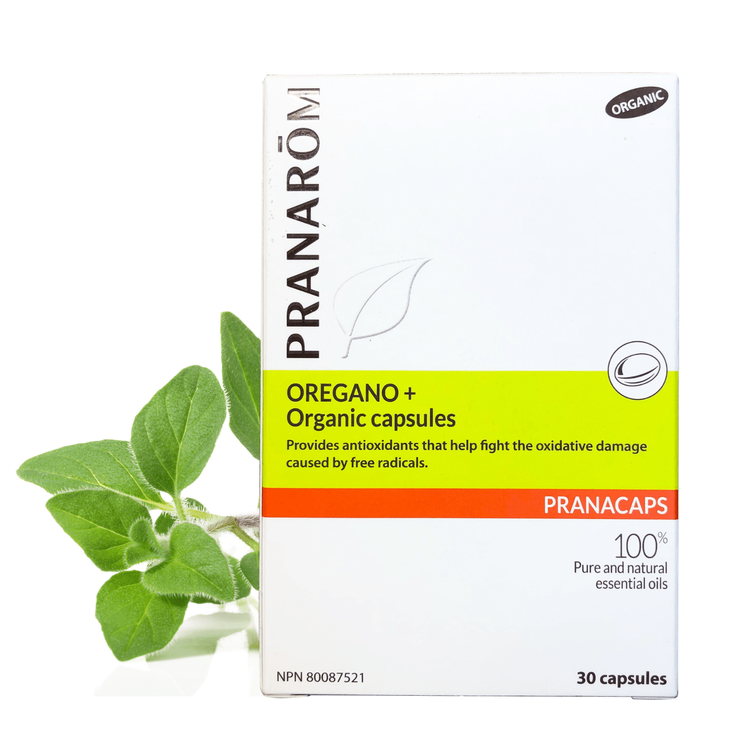 Oregano by Pranarom Shop Essential Oil Capsules (ear infections)