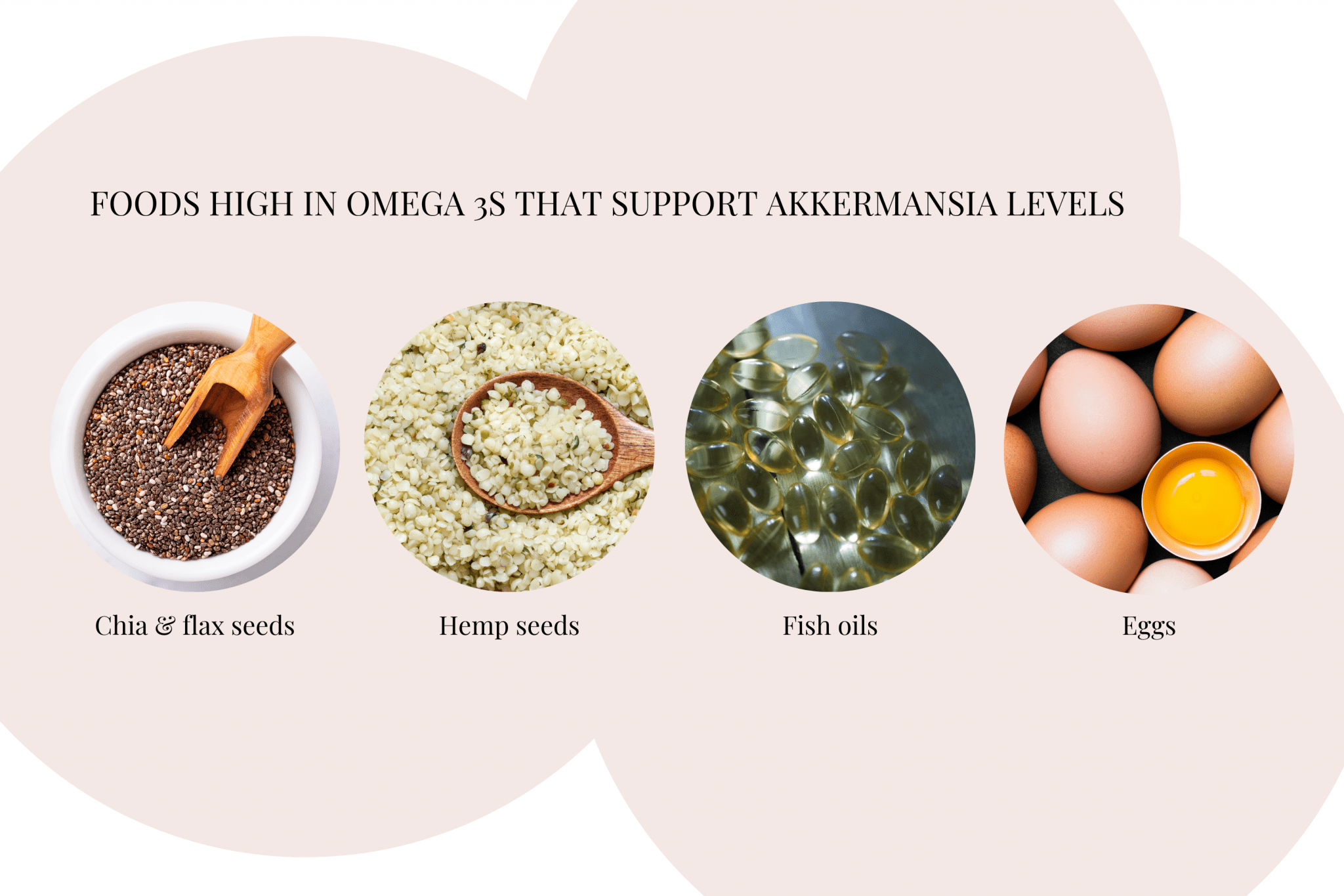 What Is Akkermansia Muciniphila? ( Plus Benefits) Prana Thrive