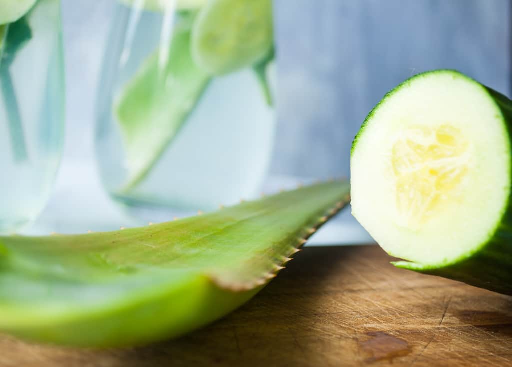 Gut Healing Aloe Vera & Cucumber Juice (w/Benefits Of Aloe) Prana Thrive