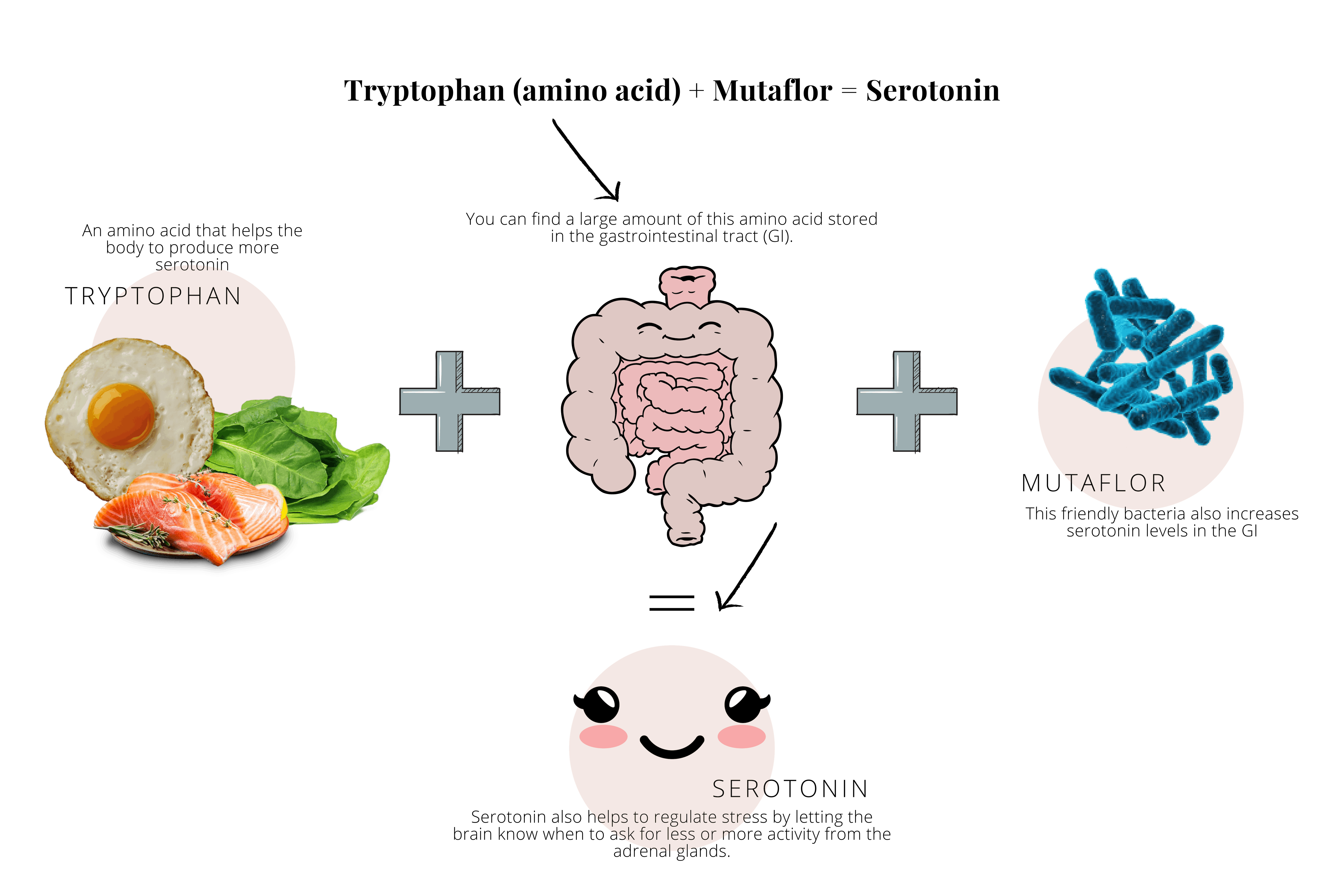 The Ecoli Strain 'Nissle 1917' (Mutaflor) A Powerful Probiotic
