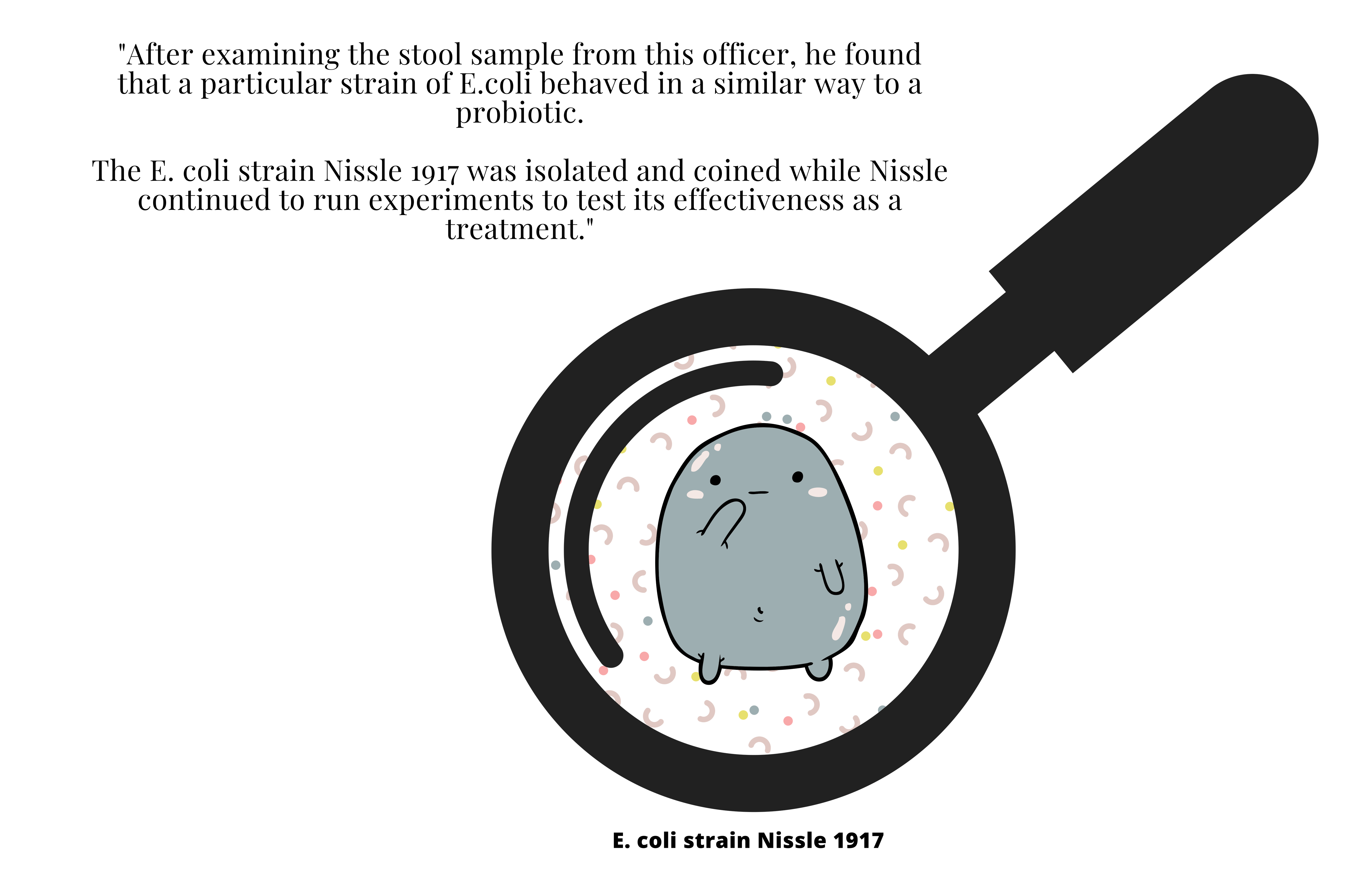 The Ecoli Strain 'Nissle 1917' (Mutaflor) A Powerful Probiotic