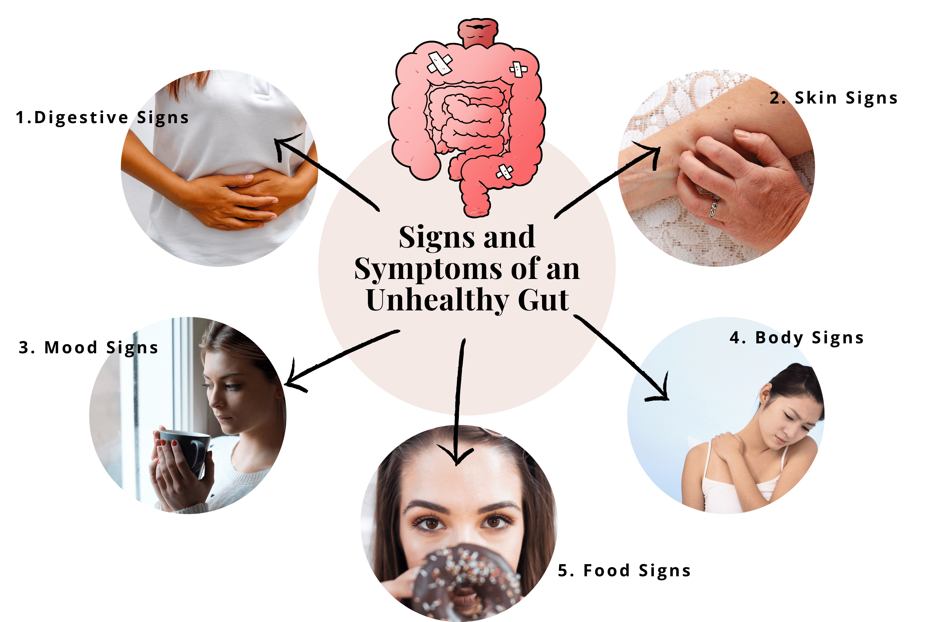 How To Improve Gut Health Naturally The Ultimate Guide Prana Thrive