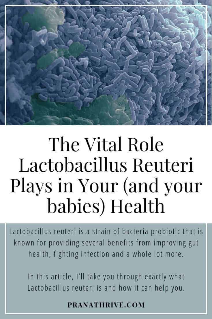 The Vital Role Lactobacillus Reuteri Plays In Your (and Your Babies