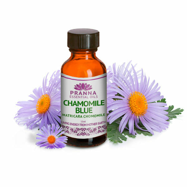 Chamomile Blue PRANNA ESSENTIAL OILS