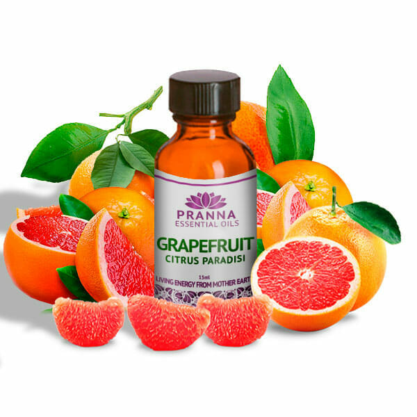 Grapefruit PRANNA ESSENTIAL OILS