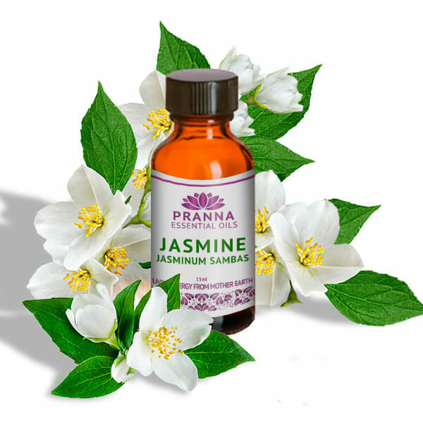 Jasmine PRANNA ESSENTIAL OILS