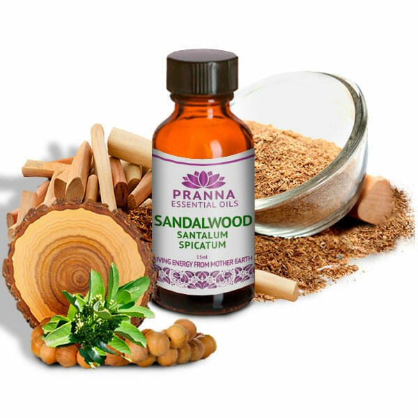 100 Pure Sandalwood Essential Oil Pranna Oils Store