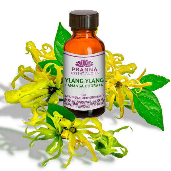Ylang Ylang PRANNA ESSENTIAL OILS