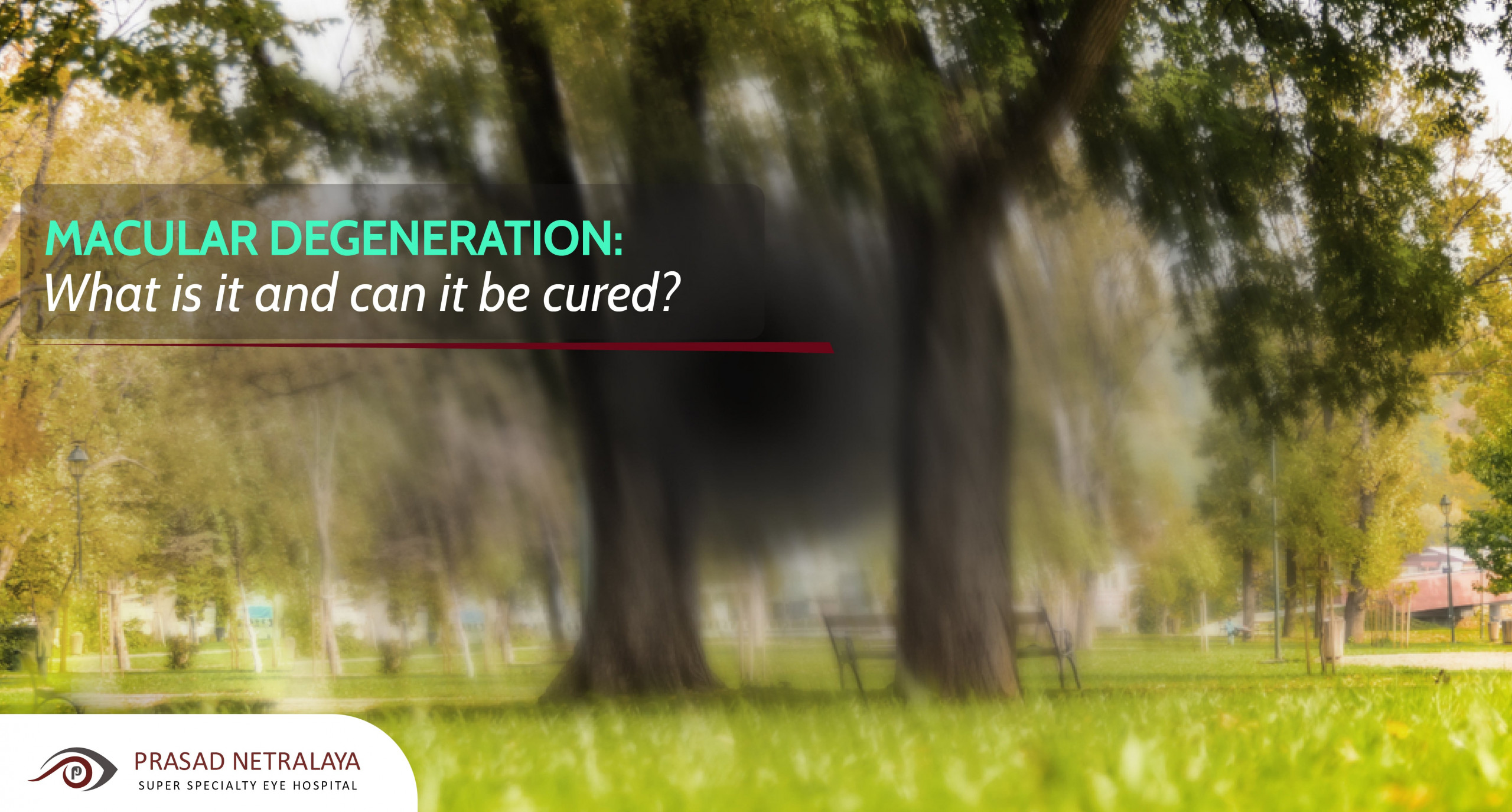 Macular Degeneration Treatment Prasad Netralaya