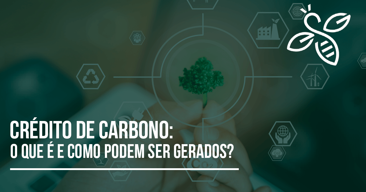 Crédito de carbono o que é e como podem ser gerados? O propósito