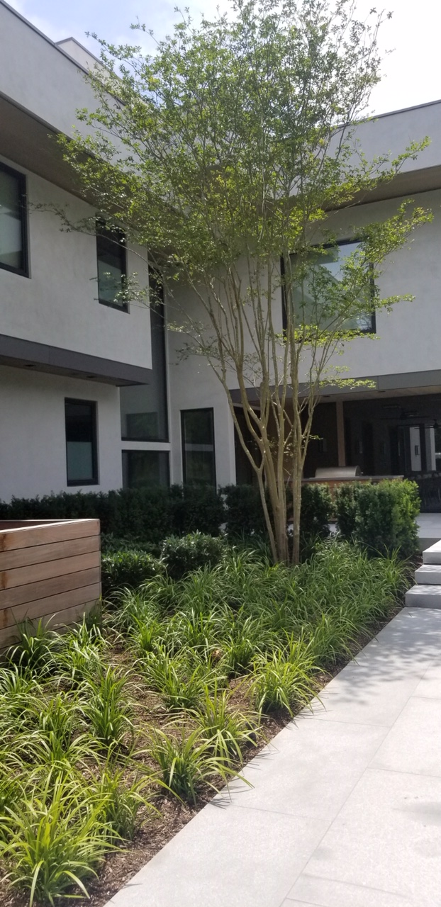 Melville House Pratt & Black