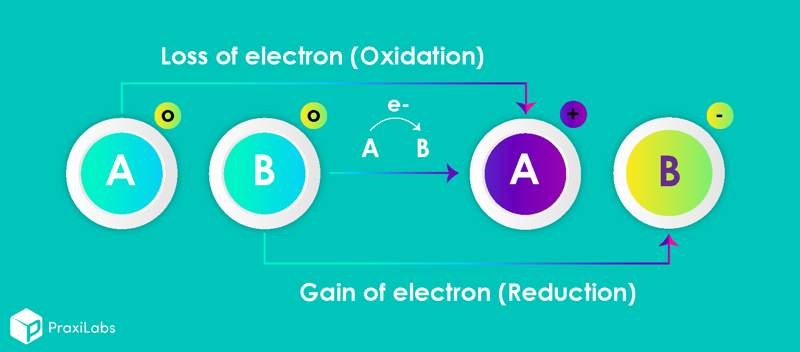 9 Most Effective Applications of Redox Titration PraxiLabs