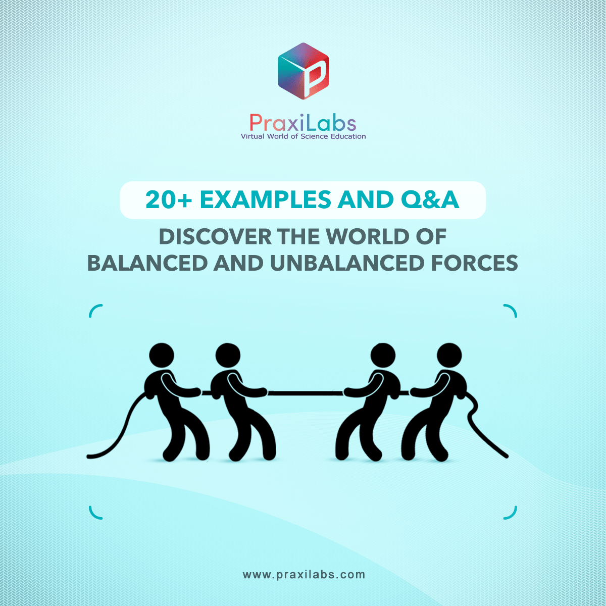 Balanced and Unbalanced Forces with 20+ Examples praxilabs