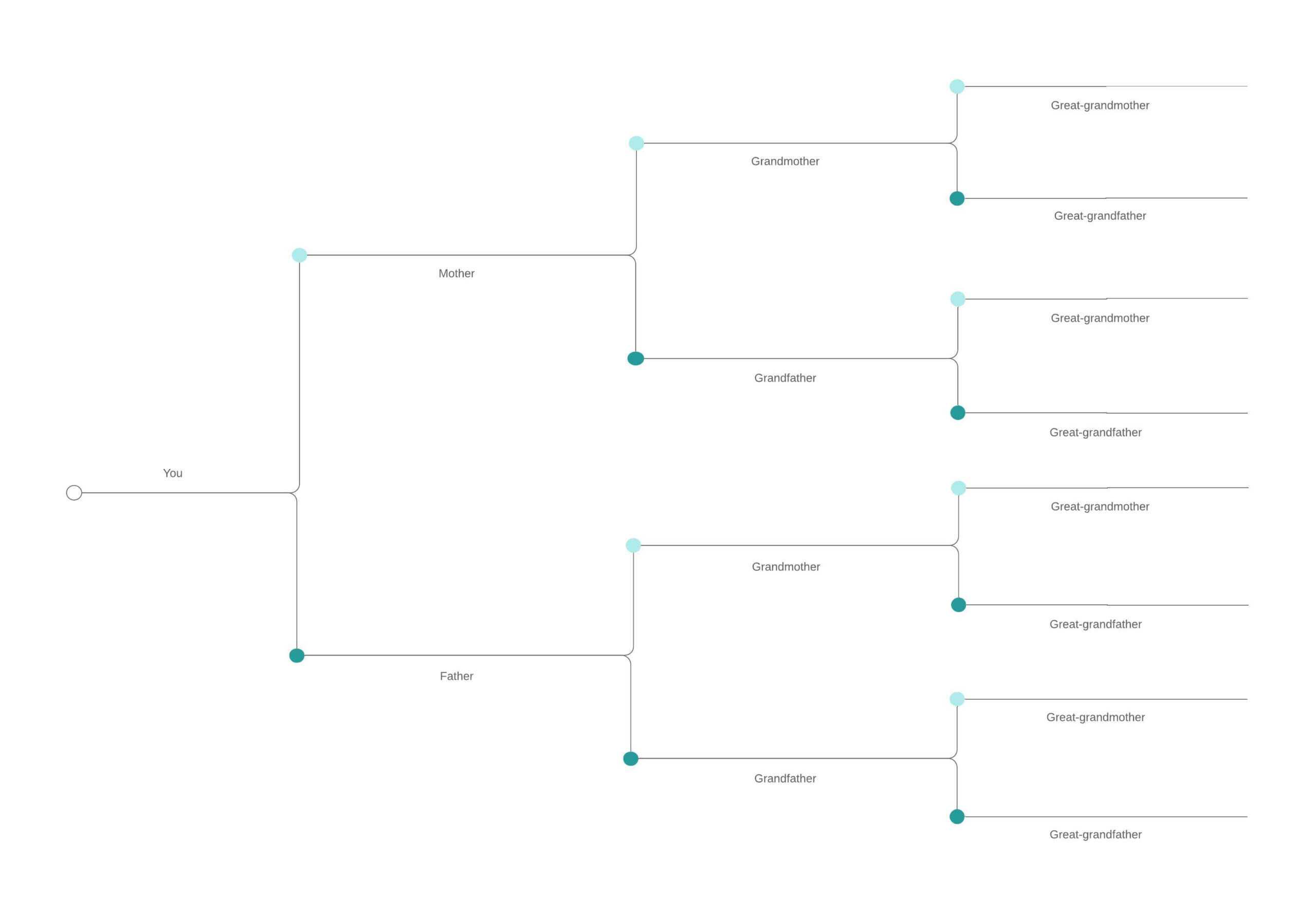 Blank Tree Diagram Template