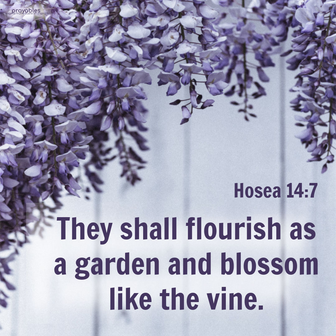 Bible Hosea 147 Prayables