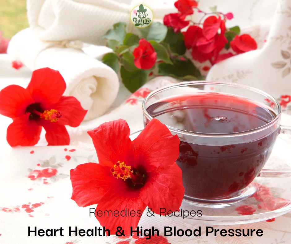 Hibiscus For Heart Health & High Blood Pressure PRAYBIOTICS