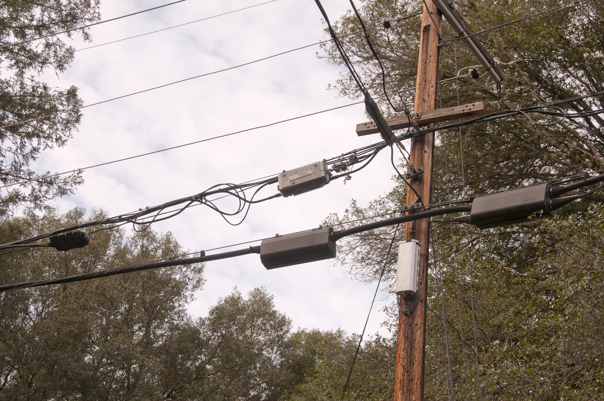 Telephone Power & CATV Poles