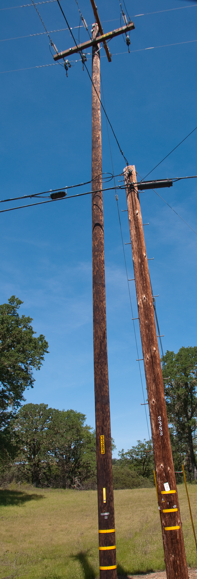 Telephone Power & CATV Poles