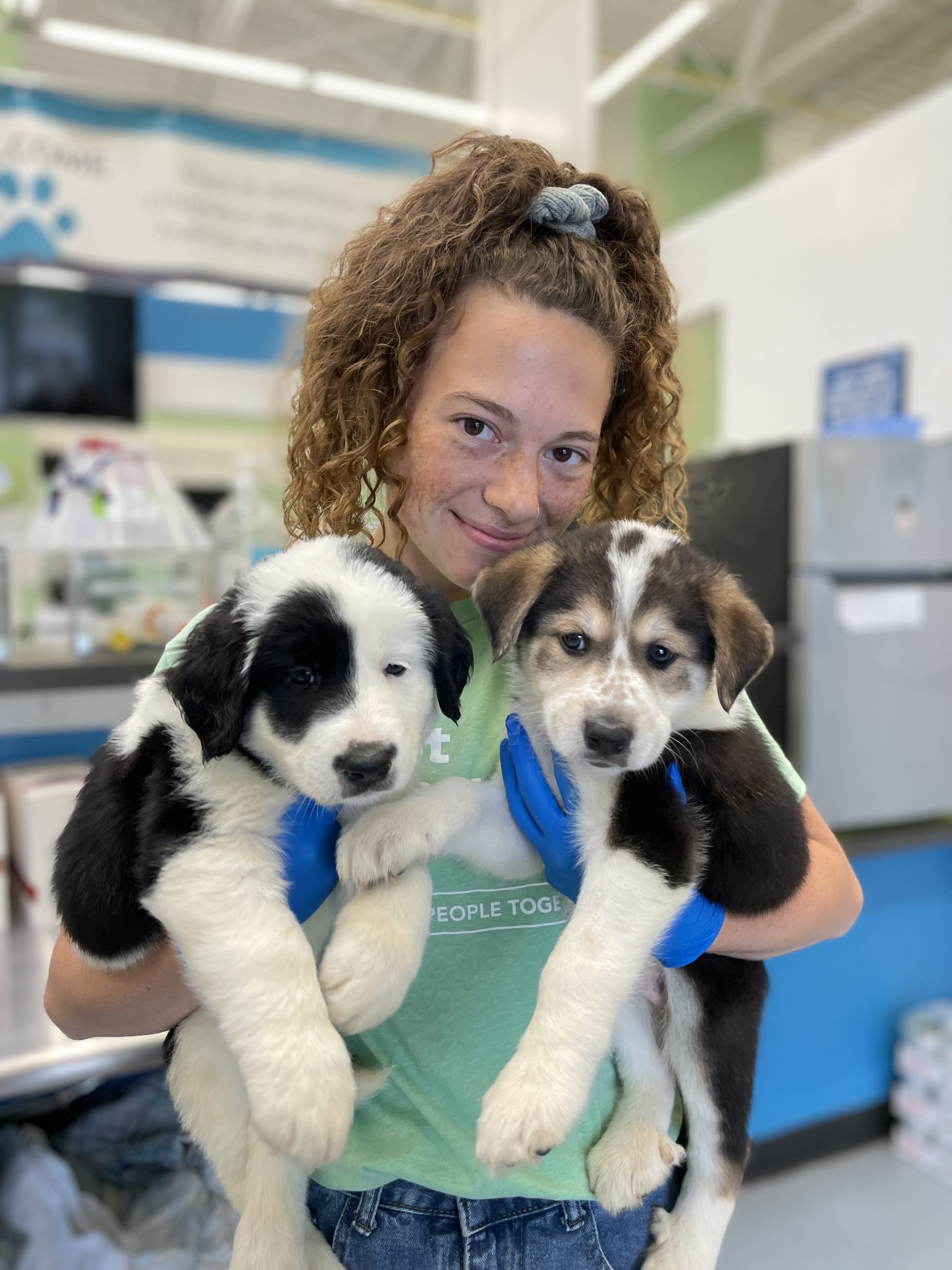 Come work with us! Pet Resource Center of Kansas City