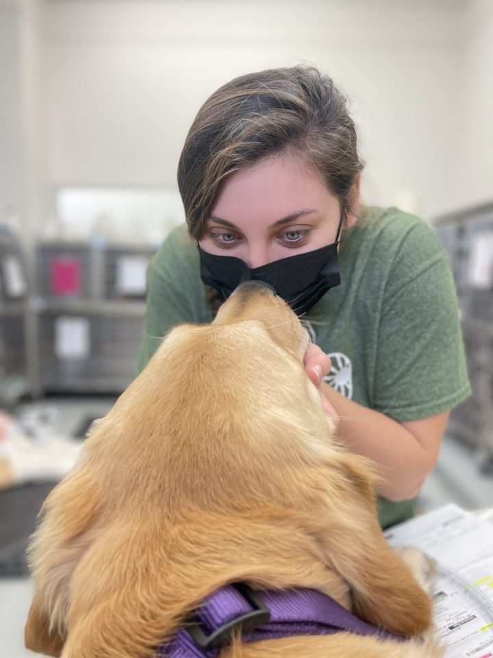 What It Truly Means to Be a Vet Tech • Pet Resource Center of Kansas City