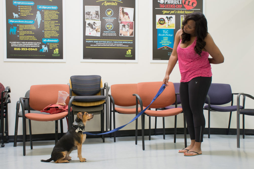 Pet Resource Center of Kansas City Dog Training Classes