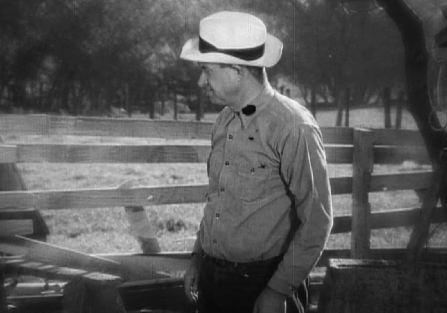 State Fair (1933) Review, with Gaynor, Will Rogers, and Lew Ayres