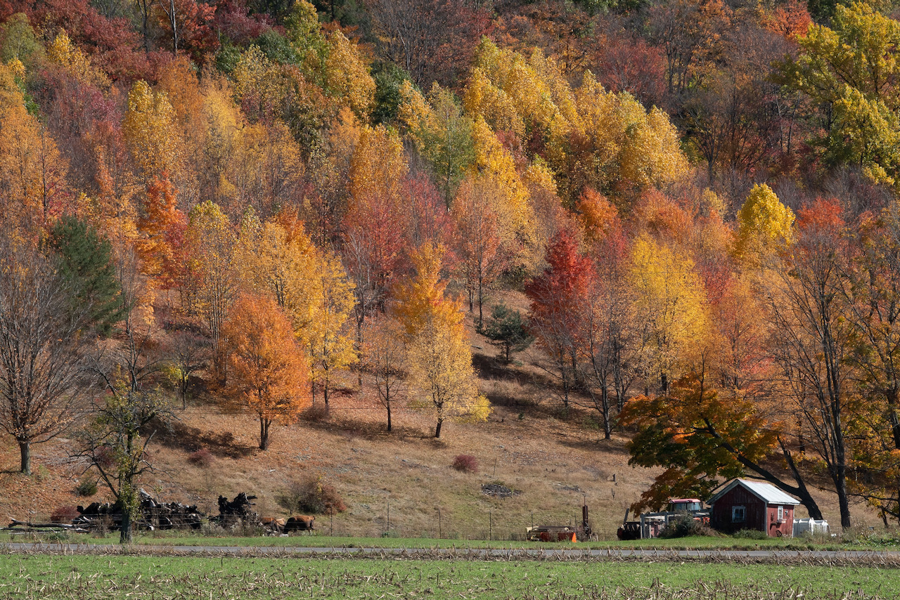 Town of Preble New York Logan's Order