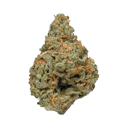 Blue Dream - PreciousBuds