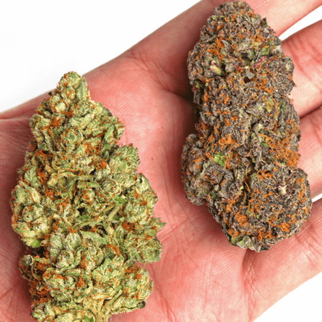 Category Exotic Strains PreciousBuds