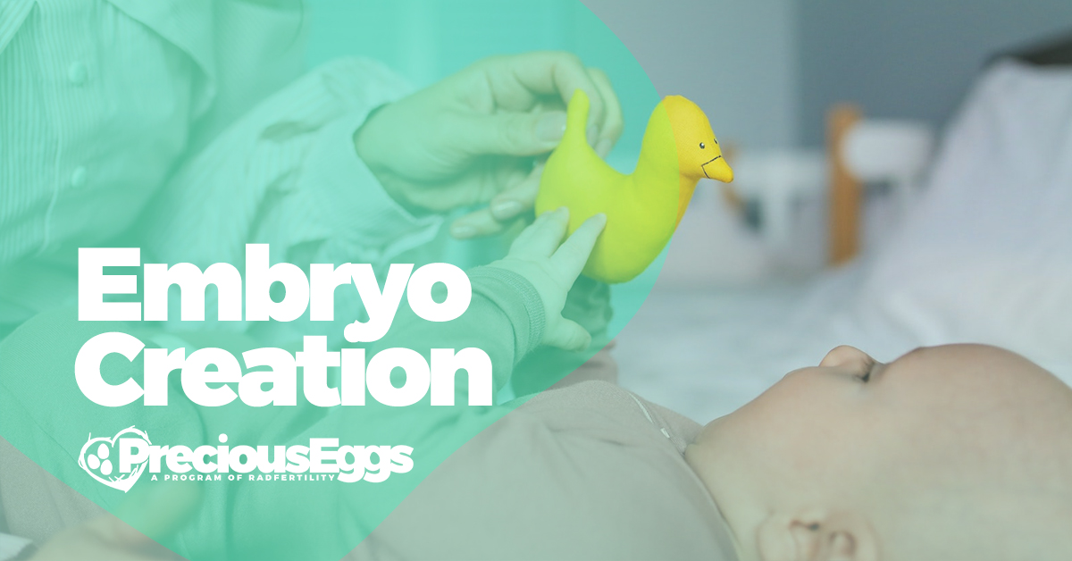 Embryo Creation PreciousEggs
