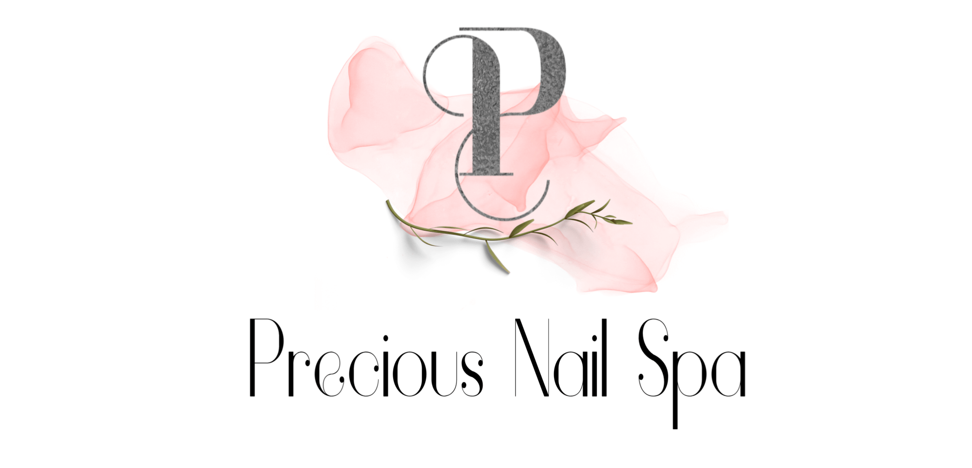 Nail Salon in Leesburg VA 20175 PRECIOUS NAIL SPA 20175 Best Nail Salon