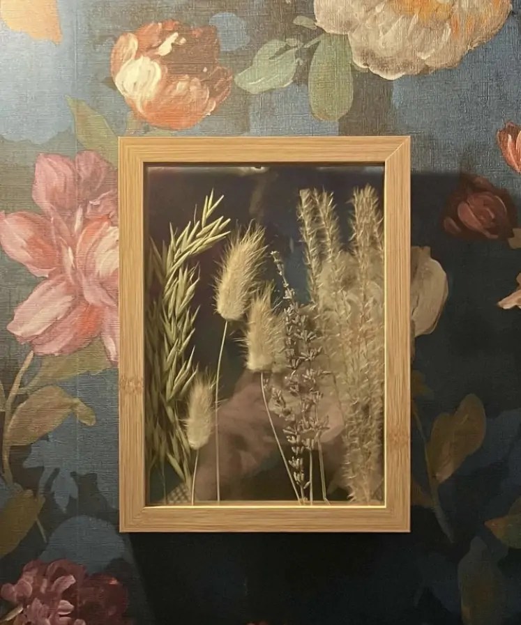 Dried Wall Art Precious Petals Florists Dublin Flowers Ireland