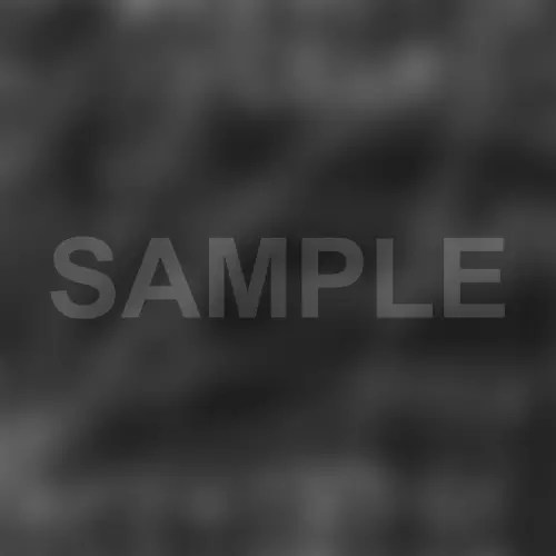 Build on Your Lot & Custom Home Builders Grimes County TX Precision Homes